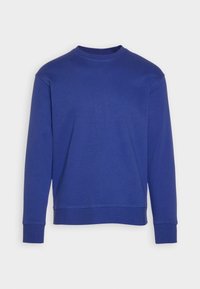 Felpa blu in cotone con maniche lunghe, scollo rotondo, polsini e orlo a costine. Texture liscia con un design a tinta unita.