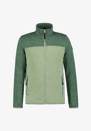 Vihreä fleece-takki, jossa on puoliveto etuosa, korkea kaulus, eriväriset ylä- ja alaosat sekä kaksi vetoketjullista sivutaskua.