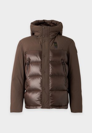 Blauer, BROOK - Doudoune - brown