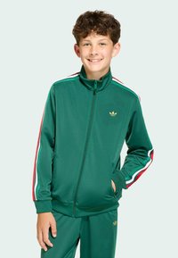 Zelená sportovní bunda na zip, s kontrastními červenými a bílými pruhy na rukávech a zlatým logem na hrudi. Hladká textura a sportovní design.