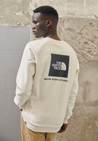 The North Face RAGLAN CREW - Felpa - gardenia white