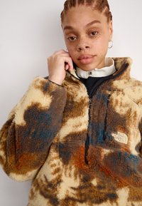 The North Face EXTREME - Felpa in pile - gravel/bleach dye/black