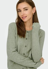 Gaišzaļš džemperis, kas izgatavots no mīkstas auduma, ar pogu priekšpusi, ribotām aprocēm un noapaļotu kakla izgriezumu ar tumšām pogām.