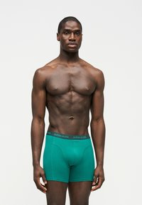 Δυνατός άνδρας στέκεται μπροστά σε απλό φόντο, φοράει πετρόλ εσώρουχα boxer Björn Borg, κοιτάζοντας ευθεία με ουδέτερη έκφραση.