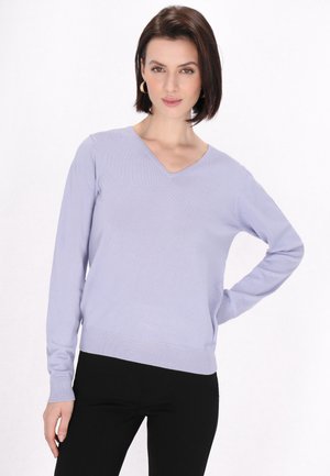 Kvinde med kort mørkt hår iført en lys lilla V-hals sweater og sorte bukser, poserer med den ene hånd på hoften mod en hvid baggrund.