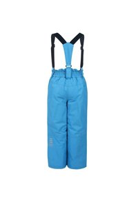 Pantaloni da neve impermeabili blu con bretelle nere regolabili, vita elastica e dettaglio logo sulla gamba. Texture liscia, design a gamba larga.