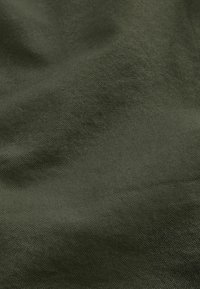 Next SHORT SLEEVE OXFORD  SLIM FIT. - Ing - green