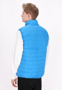 Gilet imbottito senza maniche di un brillante blu, caratterizzato da cuciture orizzontali, un colletto alto e una texture sintetica liscia. Camicia a maniche lunghe bianca sotto.