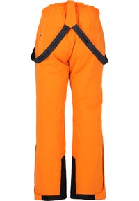 Whistler GIPPSLANG - Skihose - turmeric