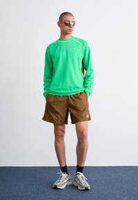 Grön långärmad sporttröja med bruna sidopaneler; bruna shorts; grå sneakers med mesh-detaljer; svarta ankelsockor; solglasögon.