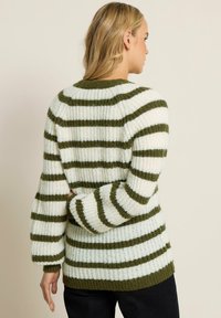Pull rayé vert et blanc, présentant une texture en maille épaisse, des manches longues et un col rond. Design décontracté avec des poignets et un ourlet côtelés.