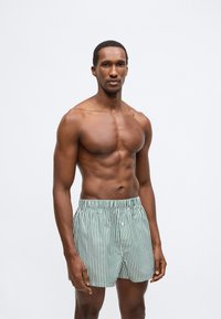 Πράσινα και λευκά ριγέ μπόξερ με ελαστική ζώνη μέσης· το μοντέλο ποζάρει μπροστά σε απλό λευκό φόντο, παρουσιάζοντας αθλητική, λεπτή σωματοδομή.