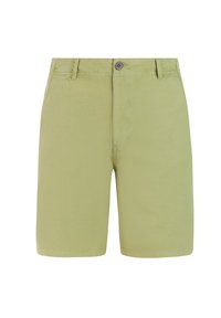 Niet geselecteerd, fern green