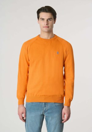 GIROCOLLO RAGLAN - Maglione - orange