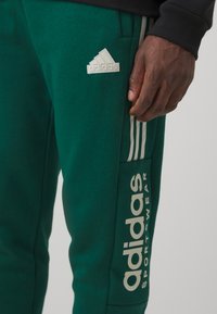 adidas Sportswear HOUSE OF TIRO - Pantaloni sportivi - collegiate green/alumina