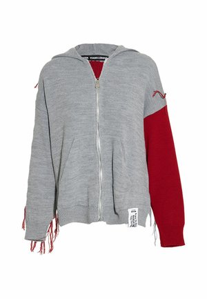 #VDR VILLADELLEROSE, ZIP-UP OVERSIZE KNIT SWEATER - Gilet - grey