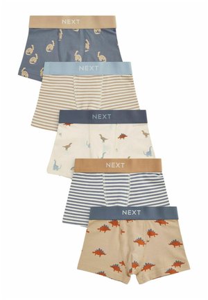 Next DINOSAUR 5 PACK - Krátke boxerky - blue grey