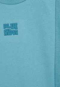 Šviesiai mėlynas džemperis su tekstūruotu logotipu "BLUE RIDGE" ir raukinėtu apykaklės kraštu, su subtiliais šoninių panelių akcentais.