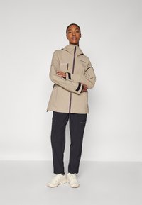 Peak Performance ALPINE GORE-TEX JACKET - Casaco de snowboard - avid beige