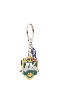 Schlüsselanhänger mit einem grünen, gelben und weißen Wappen-Logo sowie einem Fußballgrafik, befestigt an einer Metallkette und einem Ring. Inklusive eines Anhängers.