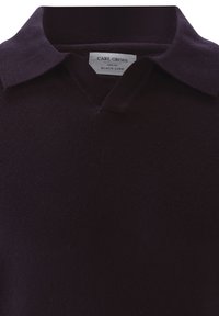 Dunkellila Pullover mit V-Ausschnitt und Kragen. Hergestellt aus einem weichen Material, mit einem schlichten Design und einem Etikett mit der Aufschrift "Carl Gross Black Line."