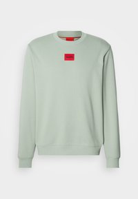 DIRAGOL - Sudadera - light pastel green