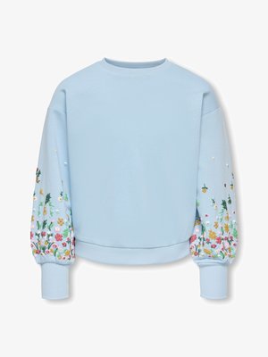Sweatshirt bleu clair avec poignets et ourlet côtelés, orné d'une broderie florale colorée sur les deux manches.