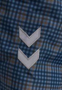 Blau- und braun karierter Stoff mit zwei weißen Chevron-Formen, die in silbernem Stich umrandet sind und vertikal angeordnet sind.
