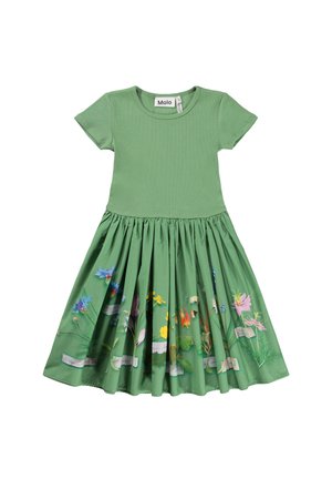 CISSA DRESS - Hverdagskjole - flora collector