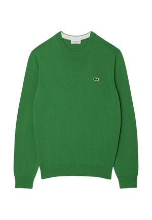 Groene trui van gebreid materiaal, met een ronde hals, lange mouwen en een klein geborduurd logo op de linkerborst.