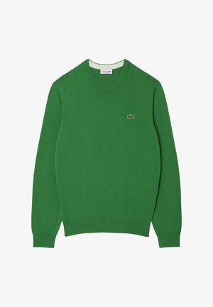 Green sweater made of knit material, featuring a crew neck, long sleeves, and a small embroidered logo on the left chest.