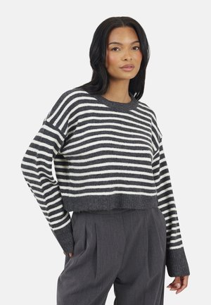 CREW NECK STRIPED  - Pullover - dark grey