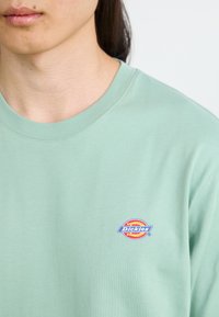 Gaiši zaļa kokvilnas T-kreklu ar apaļu kakla izgriezumu, kurā ir krāsains "Dickies" logo uzšuvums kreisajā krūšu daļā.