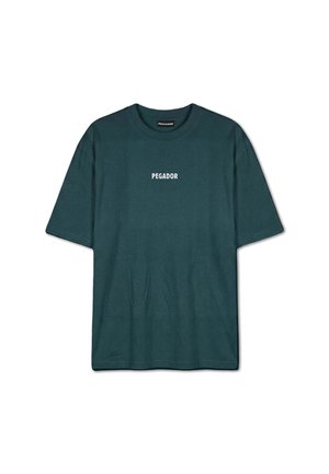 Pegador, PEGADOR OVERSIZED T-SHIRT SKIEN - T-shirt print - grün