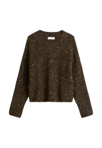 Brązowy sweter dziany z metalicznymi drobinkami w kolorach niebieskim, pomarańczowym i różowym. Posiada okrągły dekolt i długie rękawy z krótkim obszyciem.