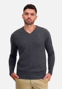 Herren grauer V-Ausschnitt-Pullover mit langen Ärmeln. Aus weicher Wolle gefertigt, mit geripptem Saum und Bündchen. Slim-Fit-Design.