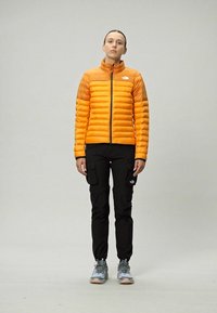 The North Face TERRA PEAK JACKET - Giacca invernale - apricot glaze/iron citrus