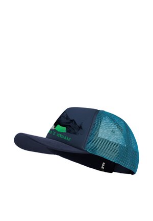 Pet - print midnight sky