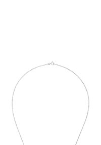 Silverfärgad kedjehalsband med en delikat länkdesign, en kräftklor lås och en tunn, flexibel struktur som möjliggör enkel användning.