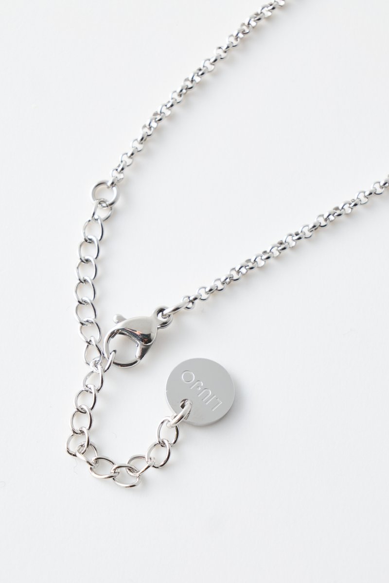 Silberne Metallkette mit einer strukturierten Kette, einem Karabinerhaken und einem runden Anhänger mit der Gravur "Ornit."