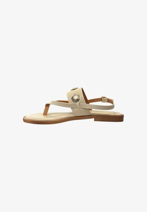 Beige platte sandaal met een te bandje, brede middenvoetband met twee ronde gehakte gouden accenten, en een enkelbandje met gespsluiting.