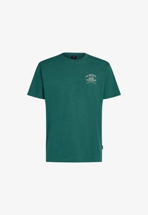 Maglietta di cotone color verde acqua con scollo tondo, maniche corte e logo stampato bianco sul lato sinistro del petto. Tessuto morbido e vestibilità regolare.