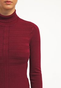 Maglione a collo alto borgogna con texture a coste, caratterizzato da righe orizzontali sul petto e maniche lunghe aderenti. Materiale morbido e lavorato a maglia.