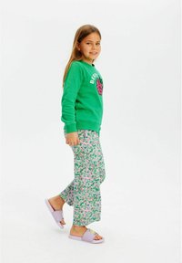 The New TNJOSLINE  - Mikina - bright green