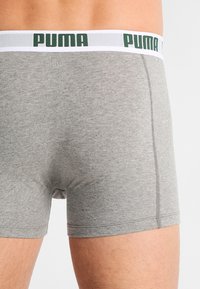 Puma BASIC 2 PACK - Kitsad bokserid - amazon/green