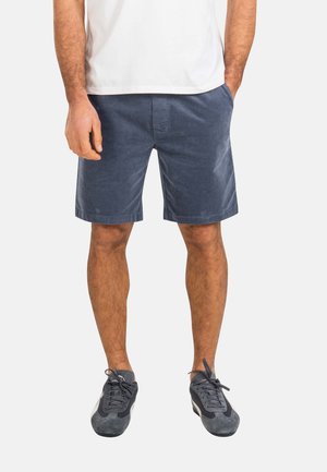 Reell REFLEX EASY - Shorts - baby cord blue grey