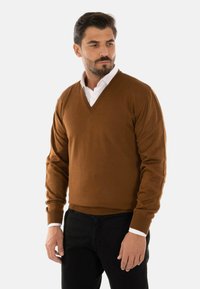 Maglione marrone a V in tessuto morbido, con maniche lunghe e polsini a coste, indossato sopra una camicia bianca con colletto, abbinato a pantaloni neri.