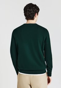 Mann mit dunklem, lockigem Haar, der einen dunkelgrünen Langarmpullover und beige Hosen trägt, von hinten vor einem schlichten Hintergrund betrachtet.