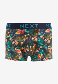 Next PATTERN FOUR PACK - Boxerkalsong - bird pattern