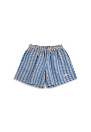 Shorts à taille élastique rayés bleu et beige avec un petit logo blanc sur la partie inférieure droite de la jambe, posés à plat sur un fond blanc.